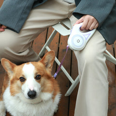 OM FRIDAYS Dog Leash LED Light